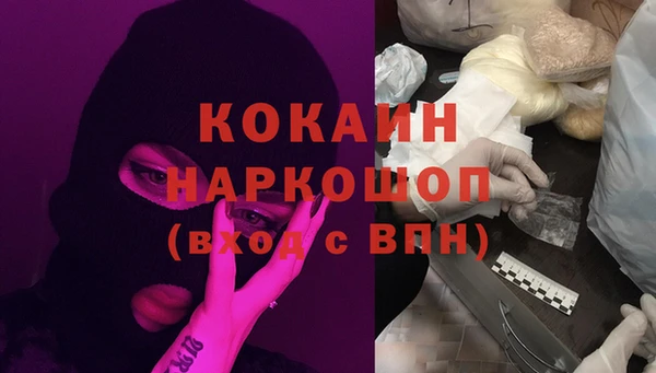 шишки Беломорск