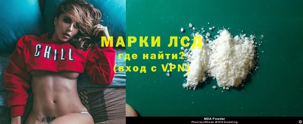 шишки Беломорск
