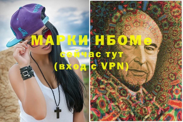 шишки Беломорск