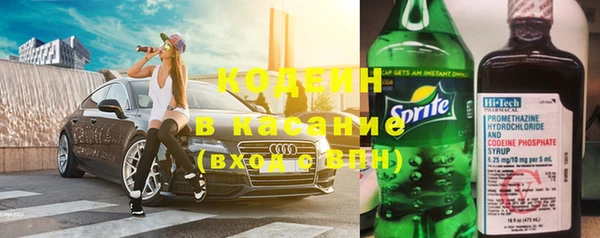 шишки Беломорск