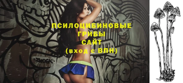 шишки Беломорск